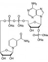 Β-Nicotinamide Adenine Dinucleotide Phosphate Reduced •Na4-Salt, SERVA