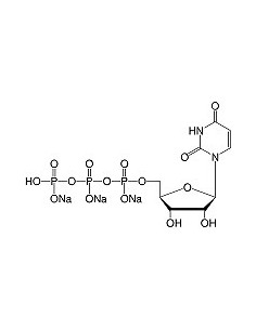 Uridine-5'-triphosphate•Na3-salt, SERVA