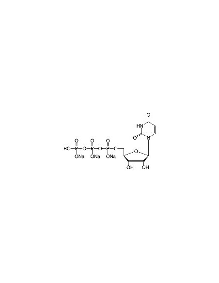 Uridine-5'-triphosphate•Na3-salt, SERVA