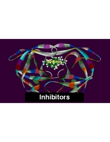 Protease-Inhibitor Mix G, Serva
