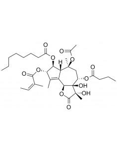 Thapsigargin, CAS [67526-95-8], Serva