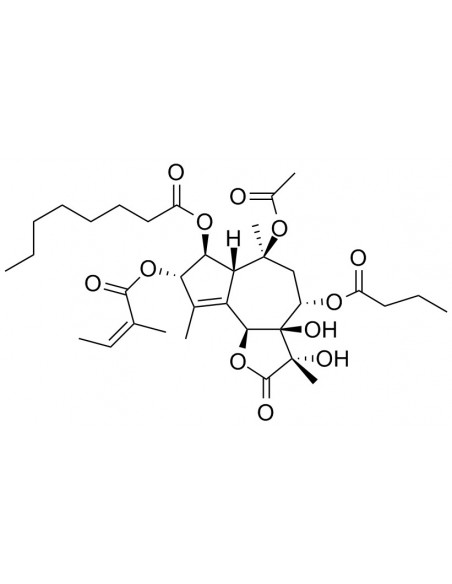 Thapsigargin, CAS [67526-95-8], Serva