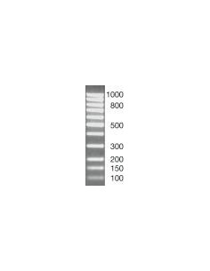 SERVA DNA Standard 100 Bp ladder equimolar, lyophilized