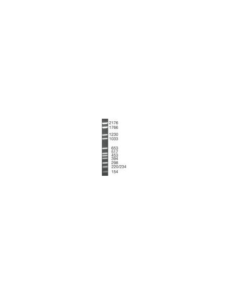 SERVA DNA Standard pBR328 Mix, lyophilized