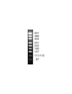 SERVA DNA Standard pUC19 x MspI, lyophilized