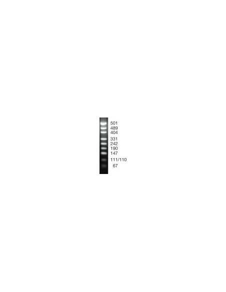 SERVA DNA Standard pUC19 x MspI, lyophilized
