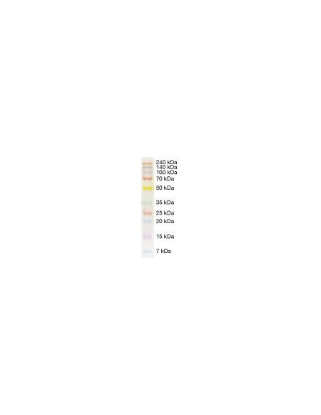 SERVAChrom Protein Standard III