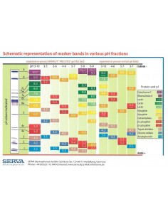 Protein test mixture for pI-determination, pH 3-10