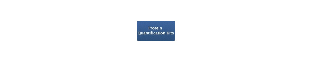 Protein Quantification Kits and Protein Analysis Kits – BIOpHORETICS