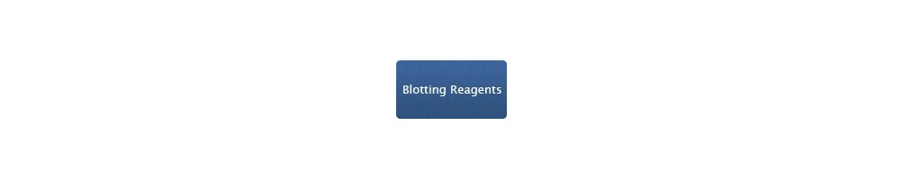 Blotting Reagents for Western blot and Southern blots - BIOpHORETICS™