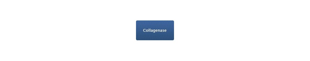Nordmark Collagenase & Neutral Protease - BIOpHORETICS