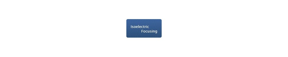 Isoelectric Focusing Chambers – BIOpHORETICS