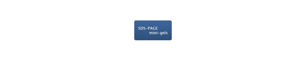 SDS-PAGE mini-Gels – BIOpHORETICS