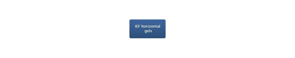 IEF Horizontal Precast Gels – BIOpHORETICS