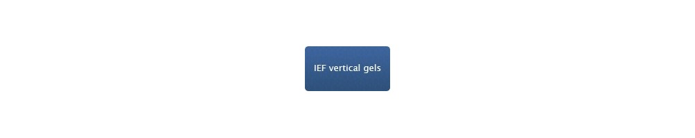 IEF Vertical Precast Gels – BIOpHORETICS
