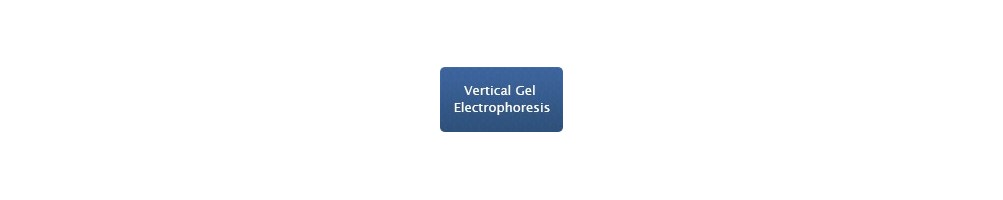 Vertical Gel Electrophoresis | BIOpHORETICS  