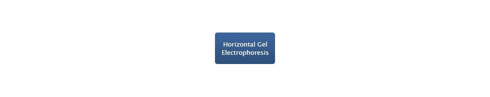 Horizontal Gel Electrophoresis Chambers - BIOpHORETICS 